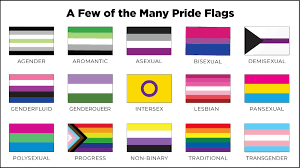 show your true colors pride flag