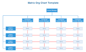 Matrix Org Chart Org Charting