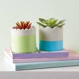 Can you use air dry clay to make planters?