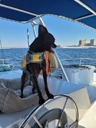 pet friendly sailing charter in destin