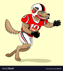 wolf football player royalty free