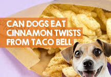 can-dogs-have-cinnamon-twists-from-taco-bell