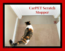 carpet scratch stopper review and