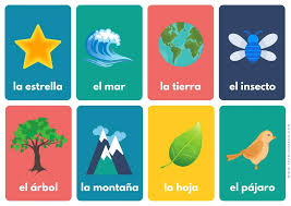 spanish nature words and book to