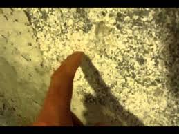 Basement wall mold & mildew inhibitors: White Mold Removal In Basement On Concrete Youtube