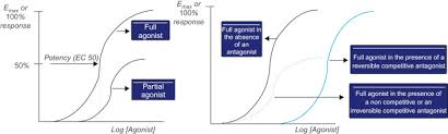 Drug Dose An Overview Sciencedirect Topics