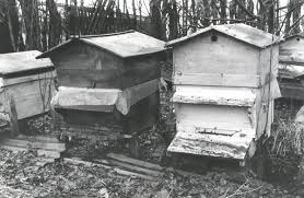 Histoire de l'apiculture en Pays de France et dans le Val d'Oise