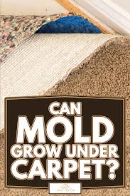 can mold grow under carpet