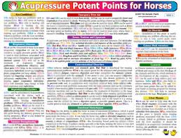 Woofs Hoofs Animal Massage Webshop Equine Accupressure Chart