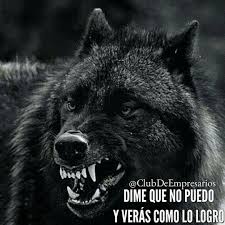 Find best dark wolf wallpapers to download for desktop and mobile for free. Pin By Eric On Million Phrases Wolf Dog Black Wolf Angry Wolf