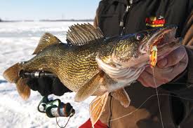 Top Ice Fishing Lures You Need To Try