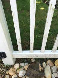 Quickly Cleaning Vinyl Fences