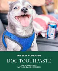 homemade toothpaste for dogs easy diy