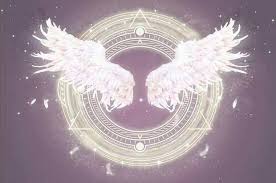 8d feather angel wings wallpaper
