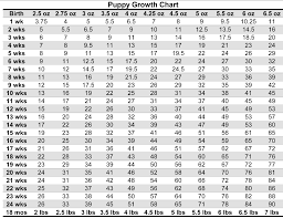 Puppy Weight Chart For Yorkies Puppy Puppy Growth Chart