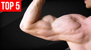 top 5 bicep exercises no weights