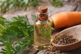 benefits of carrot seed oil for skin