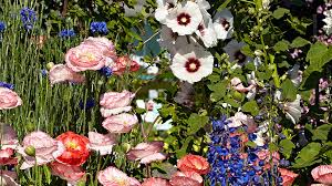 Über 7 millionen englische bücher. How To Grow A Cut Flower Garden Garden Gate