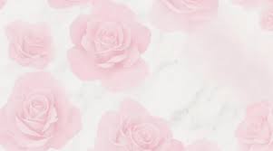 light pink rose images free