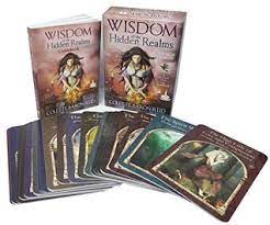 Best oracle cards & how to choose an oracle card deck! Wisdom Of The Hidden Realms Oracle Cards A 44 Card Deck And Guidebook By Colette Baron Reid