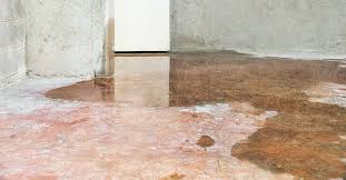 Basement Flooding Here S What To Do