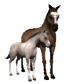 Afbeeldingsresultaat voor bewegende animaties pony
