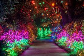 best christmas light displays