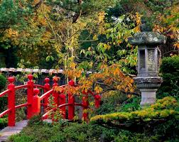 Red Bridge Japanese Lantern Autumn