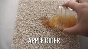 how to remove apple cider stain stain