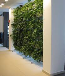diy create a living wall in your home
