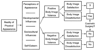 the psychology of cosmetic surgery a