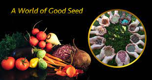 Willhite Seed A World Of Good Seed