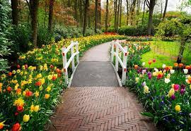 walkway leading to a colorful garden