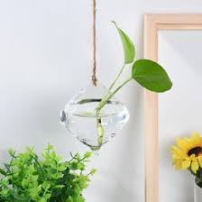 hanging glass plant containers nz