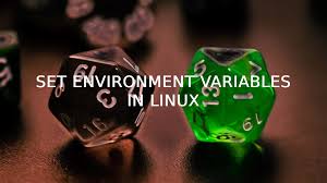 remove environment variables in linux