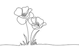 black and white flower drawing images