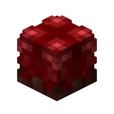 1 upgrades 2 tiers 3 formulas 4 history 5 trivia the number of digits (n) on the counter may. Mutant Nether Wart Hypixel Skyblock Wiki Fandom