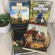 Cesar millan slip lead leash | dog leash | in training leash | (regular, black) 4.2 out of 5 stars. Other Dog Whisperer Cesar Millan Book Dvd Bundle Poshmark