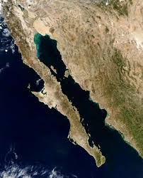 Gulf Of California Wikipedia