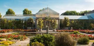 Botanik war ein wichtiger teil meines studiums und muss sagen: Botanischer Garten Titanwurz Bluht Bonn Entdeckenbonn Entdecken
