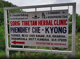 Dr Choephel Kalsang Is Carrying Forward Yeshi Dhondens