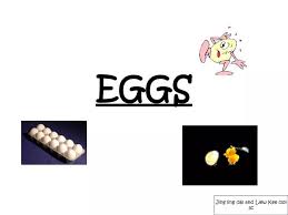 ppt eggs powerpoint presentation