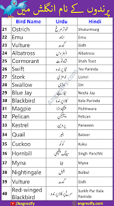 birds names list in english and urdu
