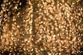 fairy lights wallpapers wallpaper cave