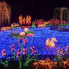 garden d lights