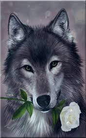 What makes a good wallpaper gif? 220 Wolf Gifs Ideas Wolf Beautiful Wolves Wolf Pictures
