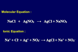How To Write A Net Ionic Equation