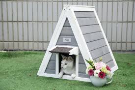 Petsfit Cat House For Outdoor Indoor