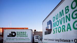 dumbo moving and storage nyc