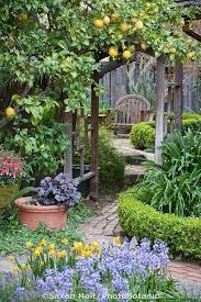 23 Pretty Cottage Garden Ideas With